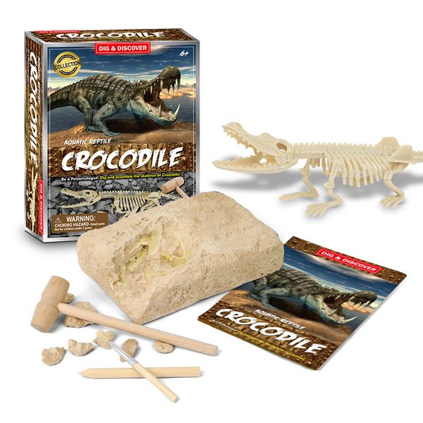 Junior Archaeology Dig Kit - Crocodile/ Deinosuchus