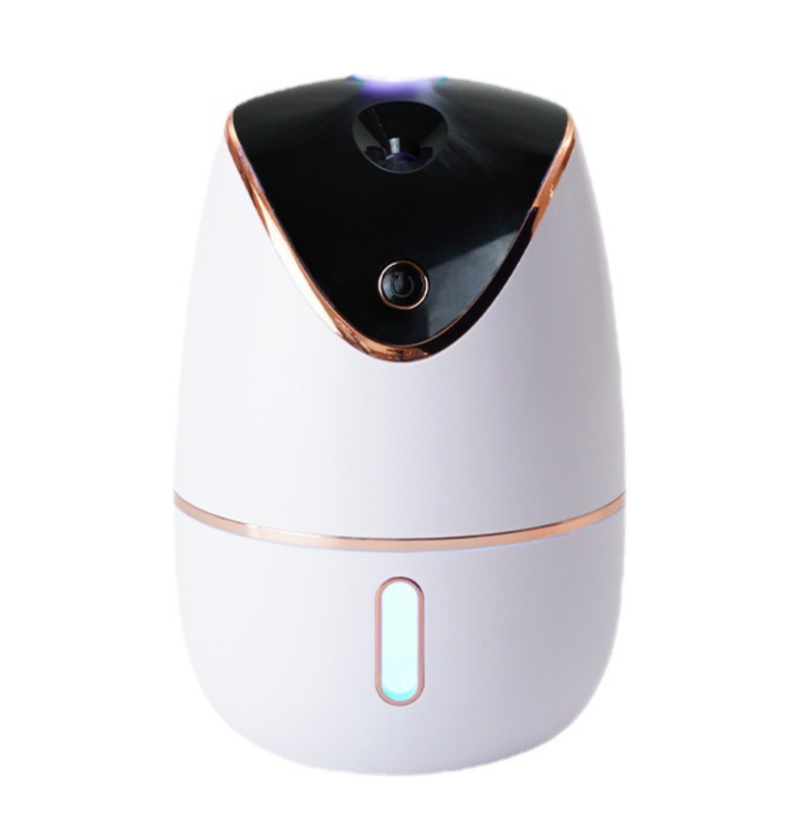 Gypsophila Baby's Breath Humidifier Buy Online in South Africa