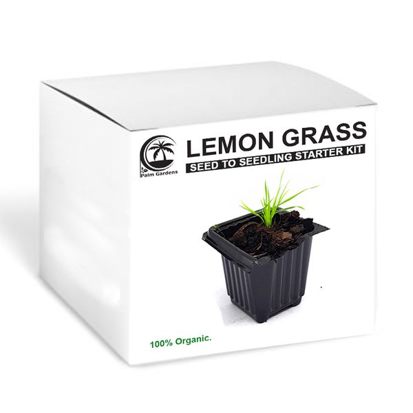 Palm Gardens Lemon Grass Plant Seed To Lemongrass Seedling Grow Starter Kit