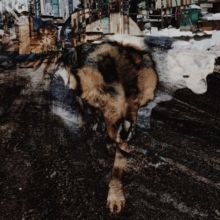 Primitive Energetics (CD / Album)