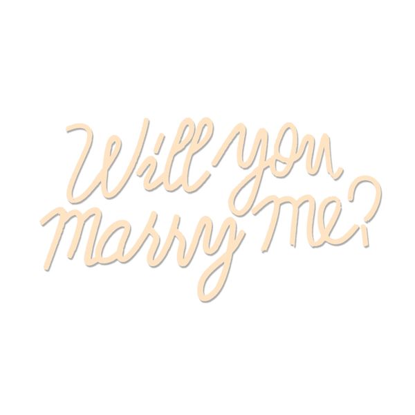 Will You Marry Me Neon Sign for Backdrop Wall Decor Size 19.7×11.8 Inch