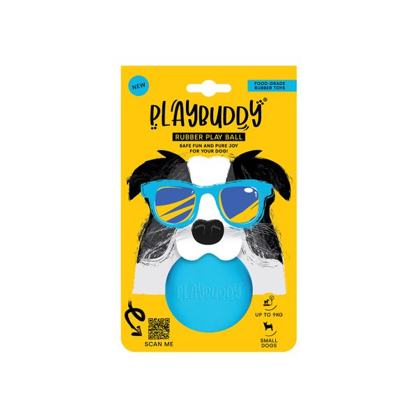 Playbuddy Small Ball
