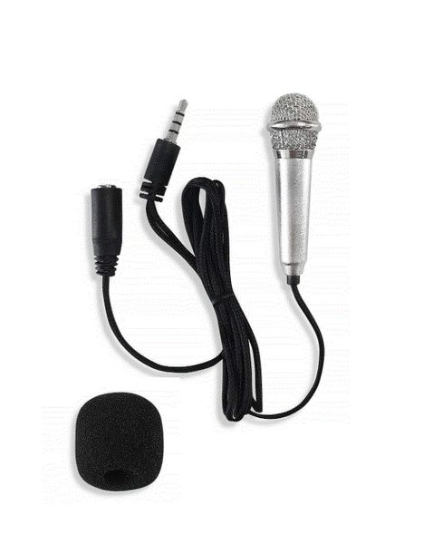 Portable Mini Stereo Mic Audio Microphone ASMR