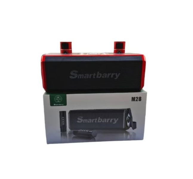 Smartberry M28 Portable Karaoke Machine Wireless Bluetooth Speaker