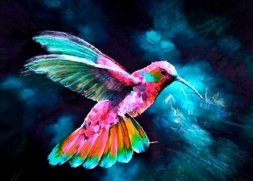 Premium 14CT Cross Stitch DIY Kit_ 40cm x 50cm Sunbird PRCS0023