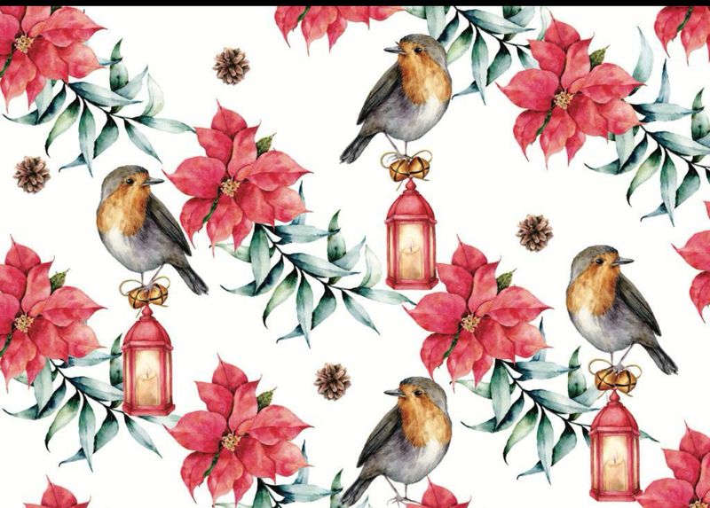 A3 Disposable Christmas Placemats - Birds