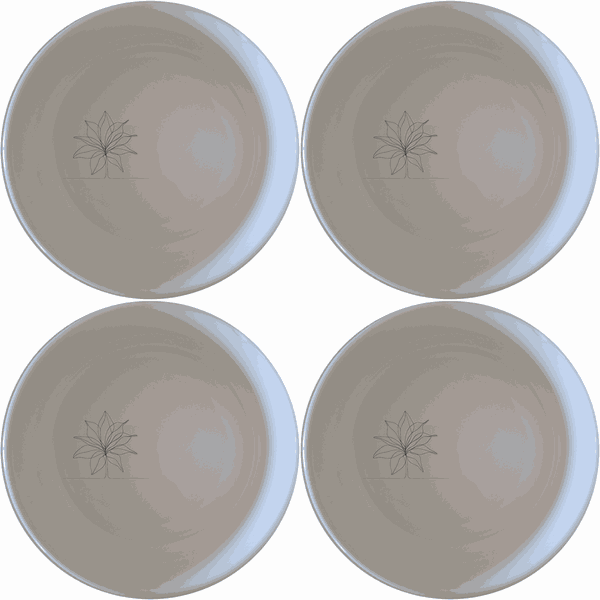 Stromanthe Triostar Bowl Set of 4 - Range 4