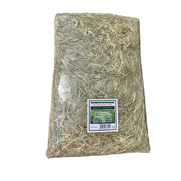 Teff Grass Edible Bedding for Rabbits &amp; Guinea Pigs (Combo pack of 4 )