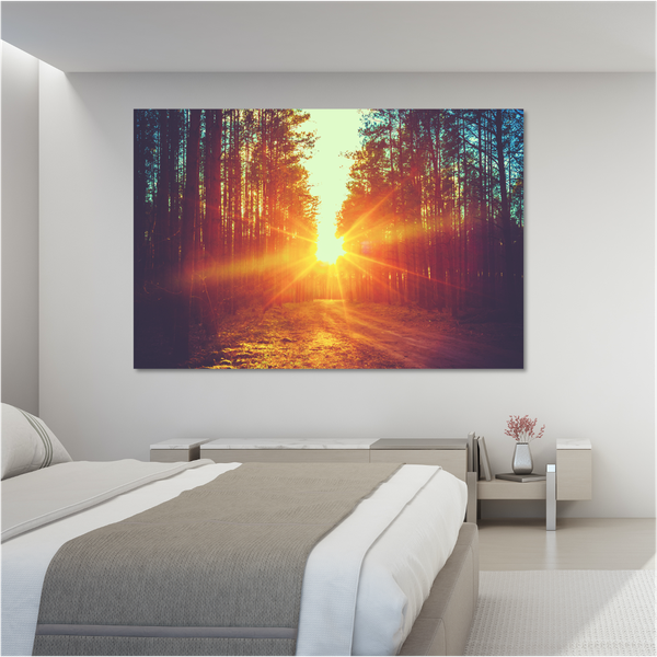 Forest Sunbeams - 119 x 84cm (Landscape)