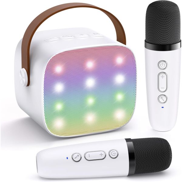 Portable Bluetooth Speaker Set with 2 Wireless Microphones, Karaoke Machine