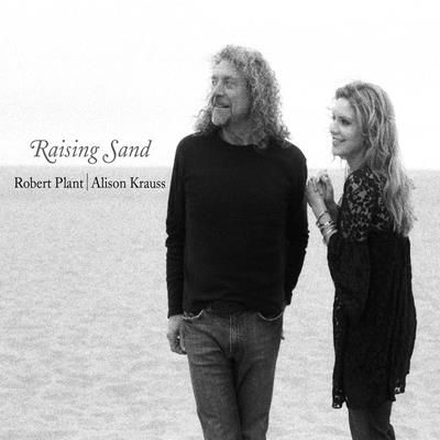 Raising Sand (Vinyl / 12" Album)
