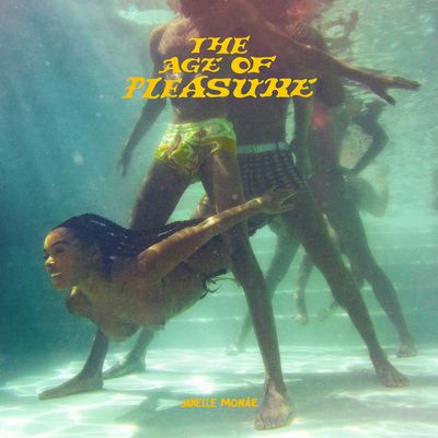 The Age of Pleasure (Vinyl / 12" Album)