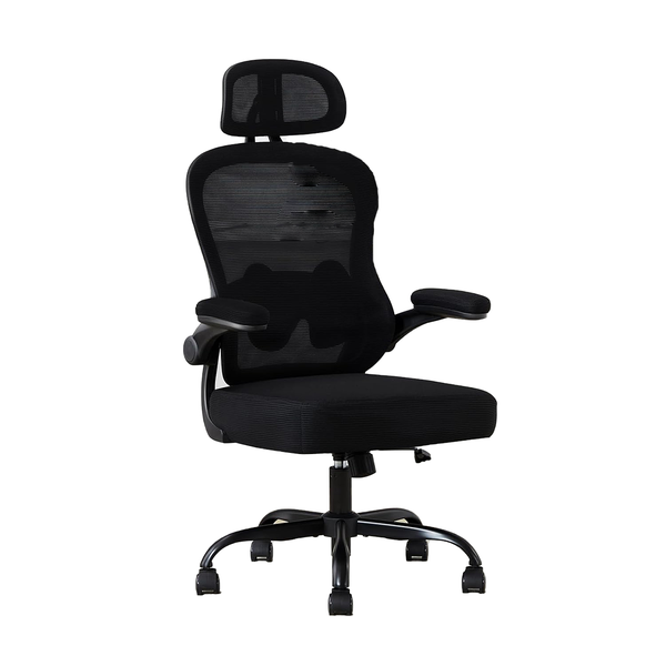 Furnny Ergonomic Office Chair Computer Chair with Adjustable LumbarSupport