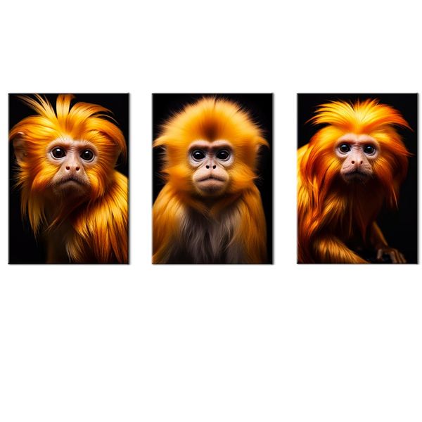 Canvas-Art-3 Pieces Gold Cute Little Monkey Faces Animals Wall Art