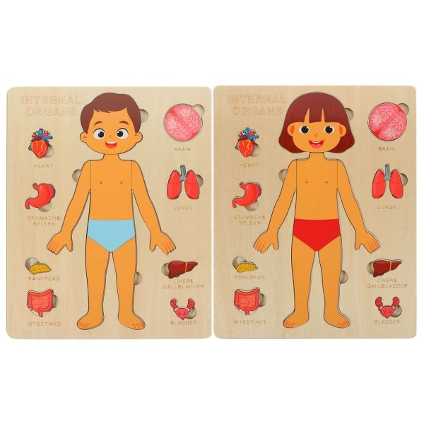Kids Boy / Girl Human Body Anatomy Puzzle Combo Montessori