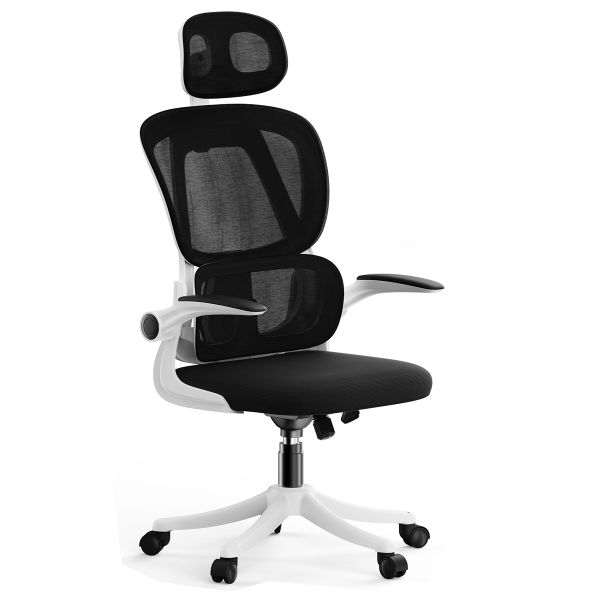 Office Chair Ergonomic Desk Chair, Work Chair with Lumbar Support - White