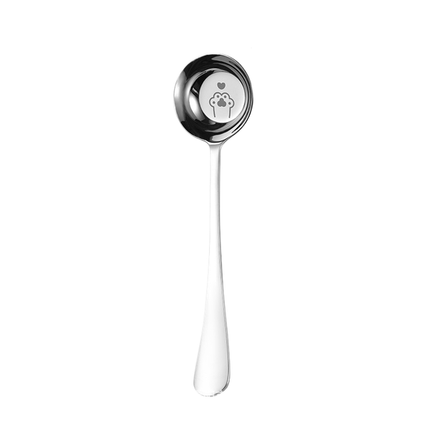 Stainless Steel Spoon