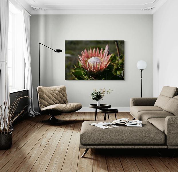 Canvas Wall Art - King Protea