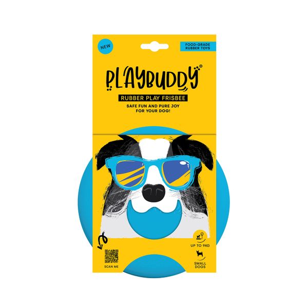 Playbuddy Small Frisbee