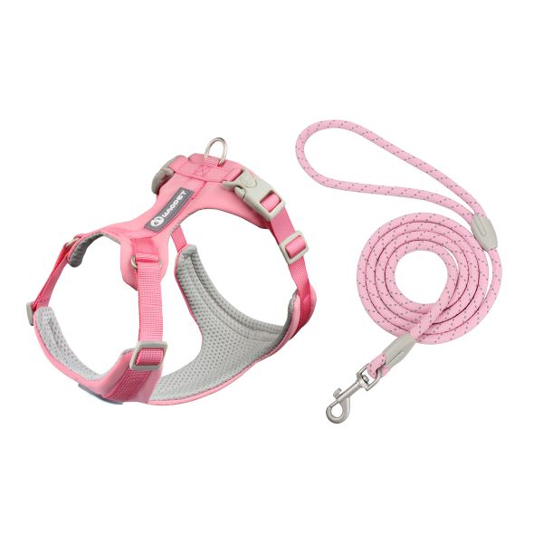 Medium Large Dogs Rope Set Pink