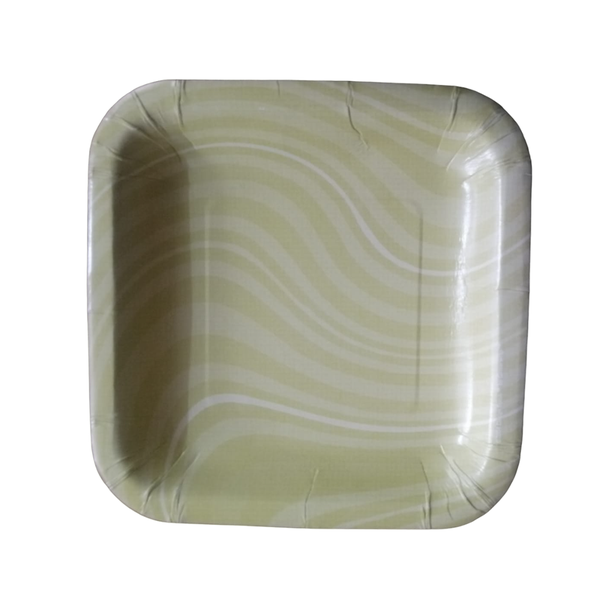 Square Paper Plates - Set of 24