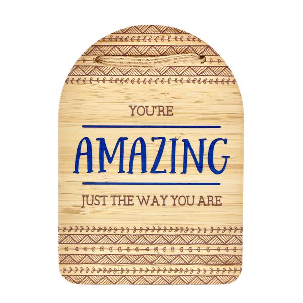 Plaque - You're amazing just the way you are