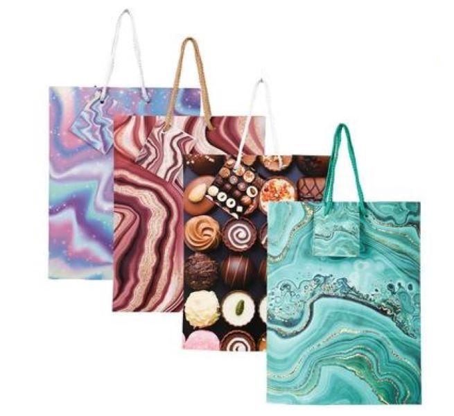 SD Homeware -Gift Bags x 4 Pack