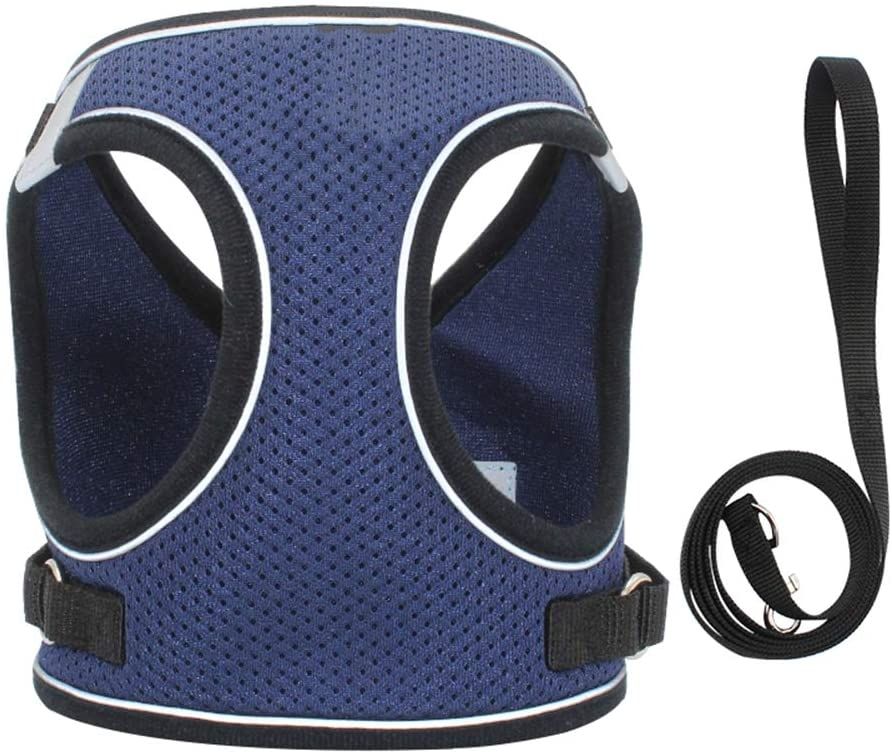 Soft Mesh NoPull Breathable Dog Harness and Leash Set Buy Online in