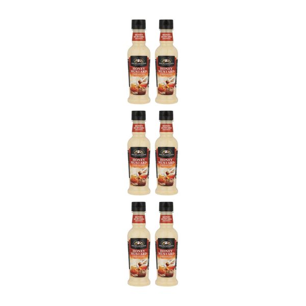 Ina Paarman's Honey Mustard Salad Dressing - 6 x 300ml