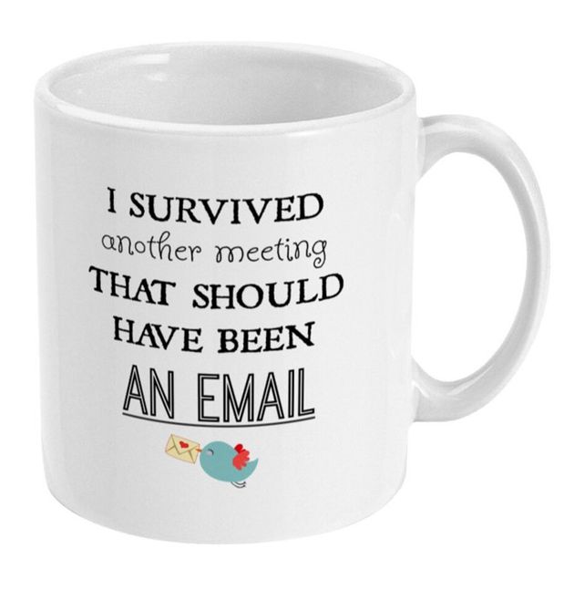 I Survived A Meeting That Should Have Been An Email Work Colleague Gift ...