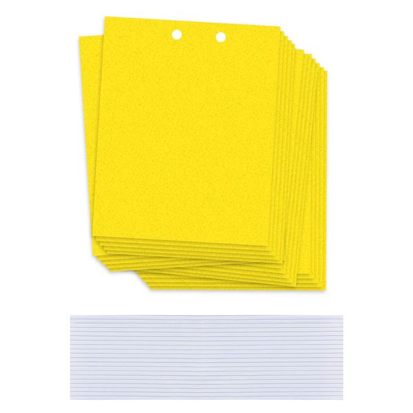 20Pcs Dual Sticky Traps Big Size with Twist Ties for Fruit Fly for Plant