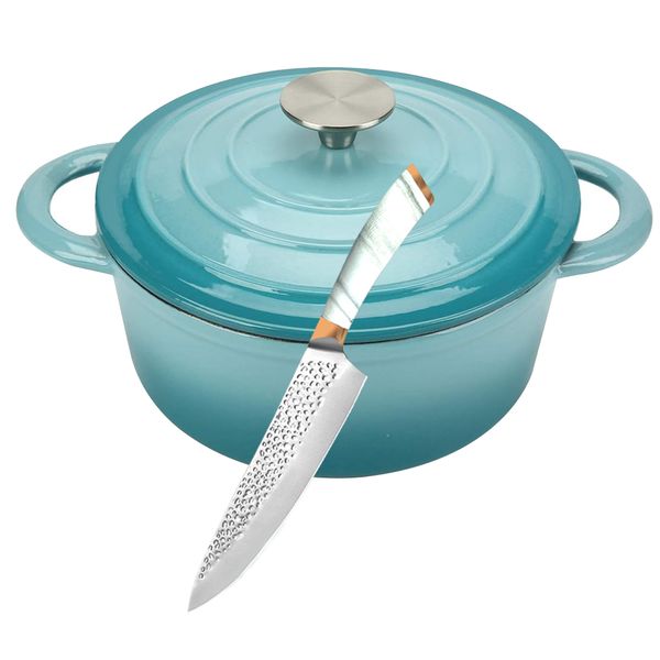 10 inch-Enameled Cast Iron Pot for Baking Braiser Cooking Family or Friends