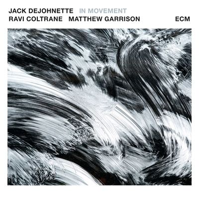 In Movement (Vinyl / 12" Album)