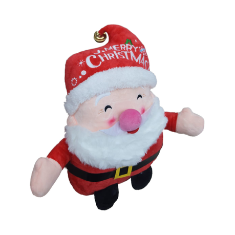 Santa teddy sale