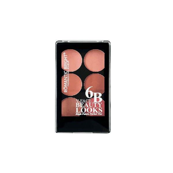 ROMANTIC BRIGHT 6-color Matte Blush Palette With Brush
