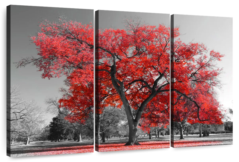 Canvas Art - The Red Tree 3 Piece Canvas Wall Art Decor