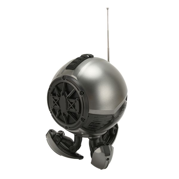 BT Speaker, HiFi, RGB, FM, Grey