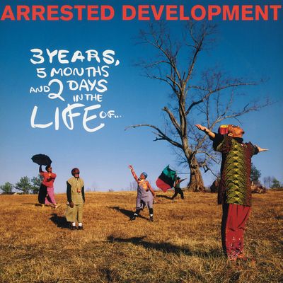 3 Years, 5 Months and 2 Days in the Life Of... (Vinyl / 12" Album)
