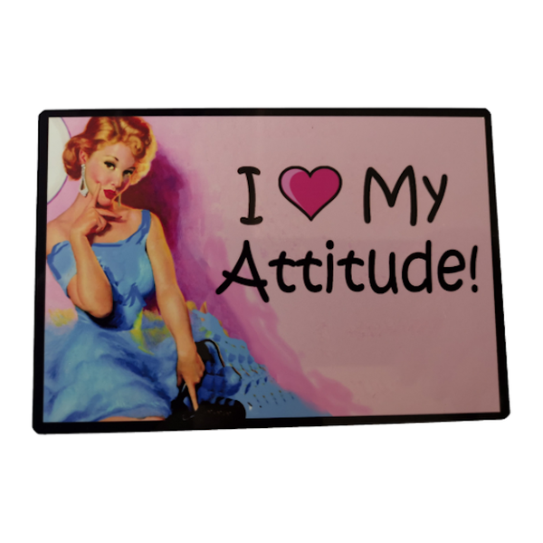 Fun Metal Plate With Magnet I Love My Attitude