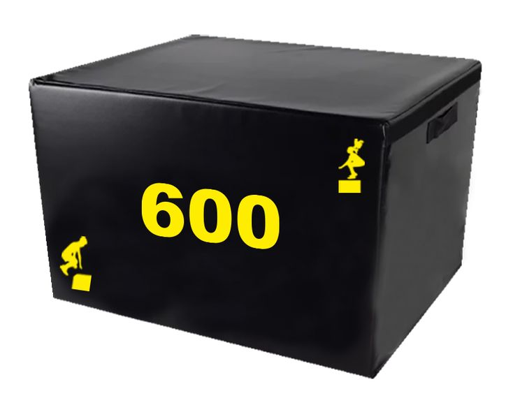 Plyo Box /Jump Box 60cm Height