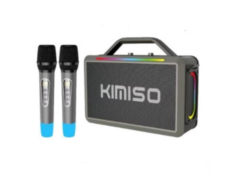 Portable LED Outdoor Party Karaoke Speaker with 2 Microphone