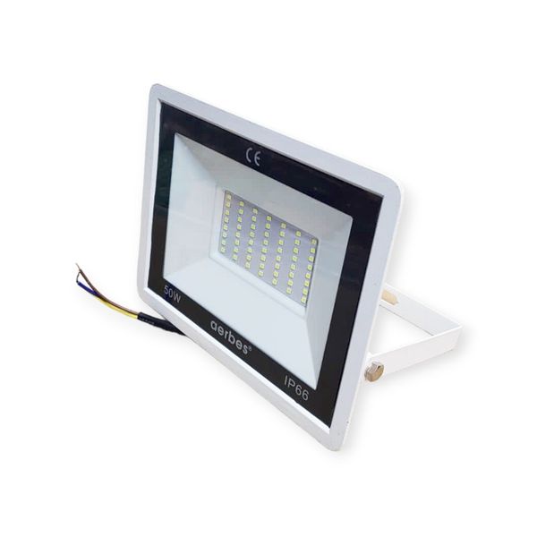 Waterproof 50W Outdoor Flood Light 220V
