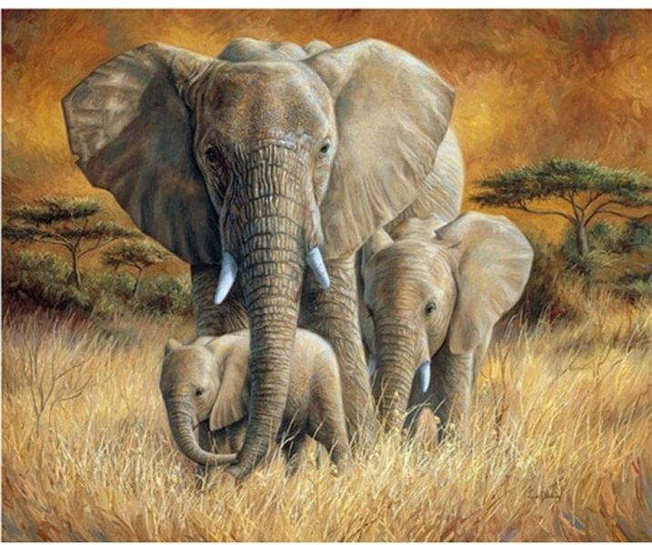 Diamond Dot Painting With Frame - Elephant Family