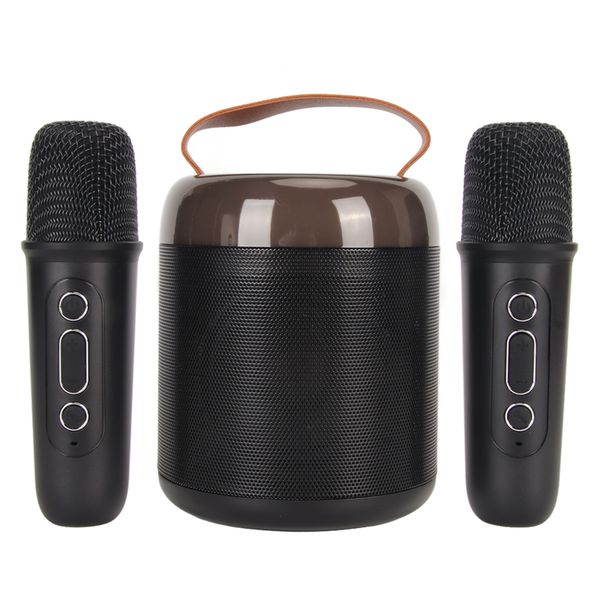 Wireless Karaoke Speaker, 2 Mics, Black