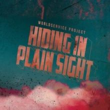Hiding in Plain Sight (CD / Album)