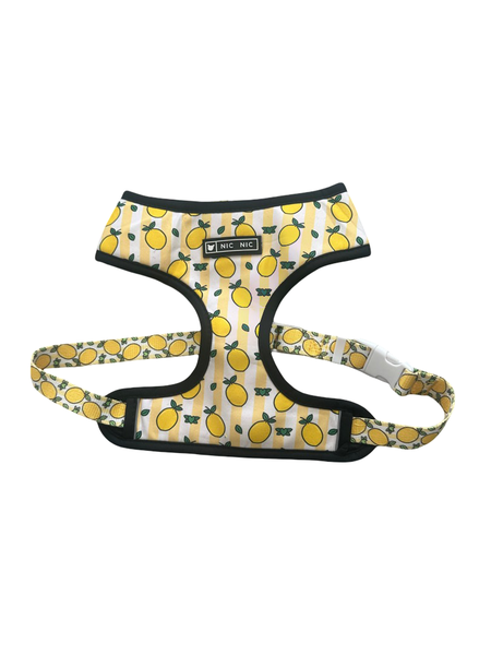 Cute Dog Harness , No Pull Dog Vest Harness, French Bulldog Pug Etc