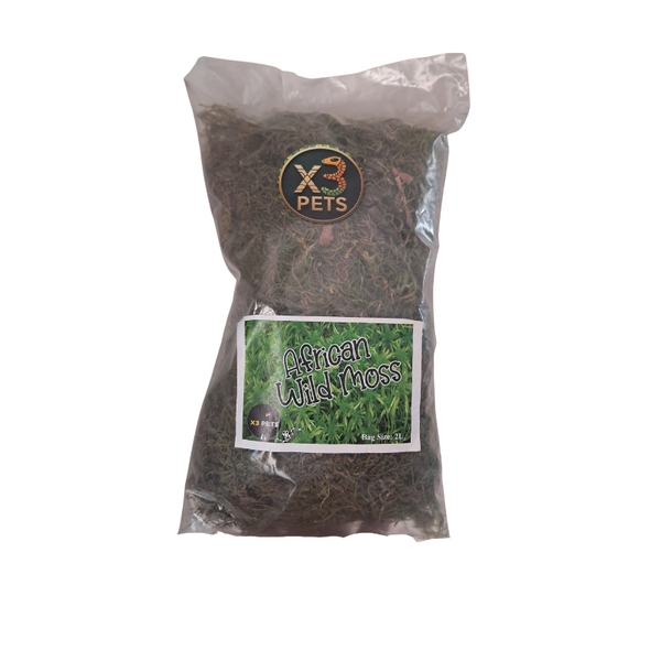 African Wild Moss for Reptiles &amp; Terrariums - 2L