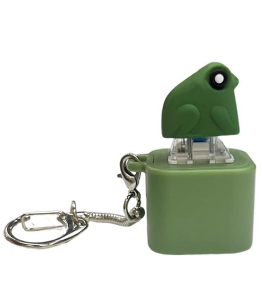 Frog Croaking Fidget Toy, Fun Rechargeable Keychain with Colorful Lights