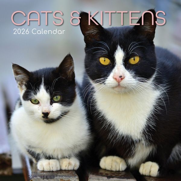 Cats &amp; Kittens 2026 Wall Calendar