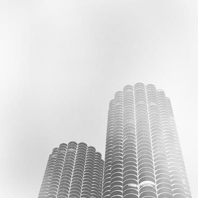 Yankee Hotel Foxtrot (Vinyl / 12" Album)